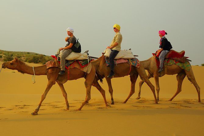 Midnight Mirage Experience (Non Touristic) - Timing and Transport: The 2:30 PM Start That Builds the Night