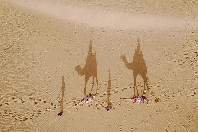 Million Stars Experience - Desert Camp & Stargazing in Jaisalmer - Quick hits before you go