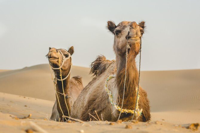 Million Stars Experience - Desert Camp & Stargazing in Jaisalmer - Barna village and a remote gypsy village stop: culture between dunes
