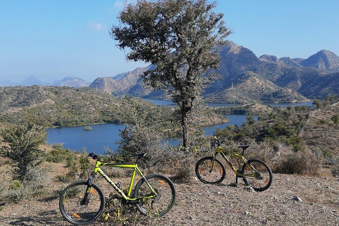 Morning Bike Tour of Udaipur - Who This Morning Udaipur Bike Tour Is Best For