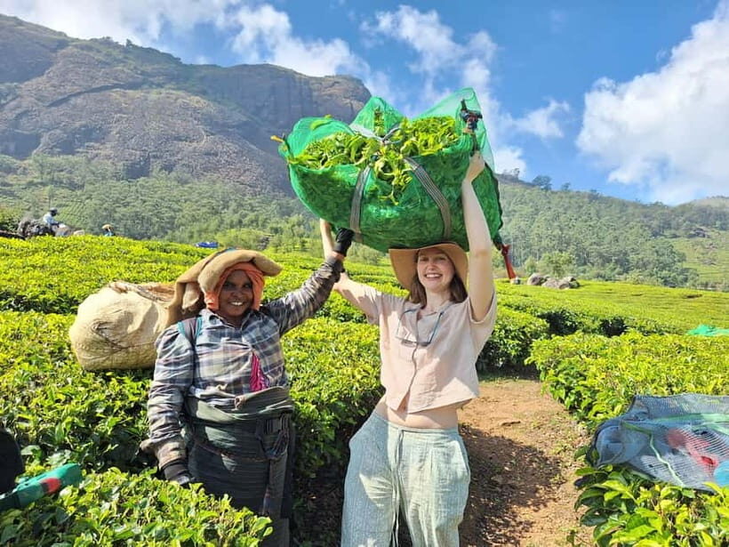 Mountain hiking in Munnar (Half day ) - Key Things You’ll Actually Care About