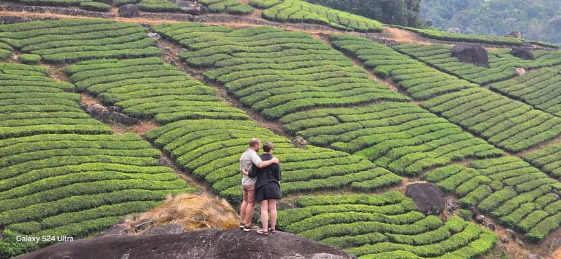 Mountain hiking in Munnar (Half day ) - Elevation and Distance: 8 to 12 km, 1420m to 1800m