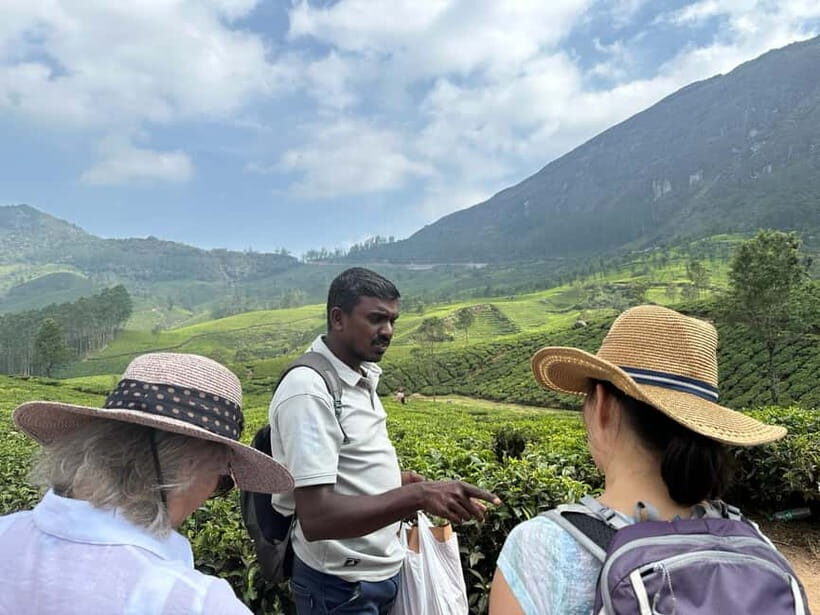 Mountain hiking in Munnar (Half day ) - Where You Start: Munnar Info Meeting Point (and Why It Matters)