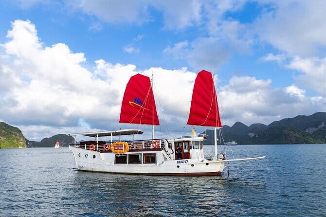 Mumbai Bay Breeze Sail on a Compact Yacht Experience - Dolphins on the Horizon: How to Make Wildlife Sightings More Likely