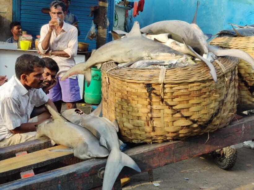 Mumbai Coastal Cooking: From Fishing Net to Flavourful Plate - Food value: why this $21 price can feel like a steal