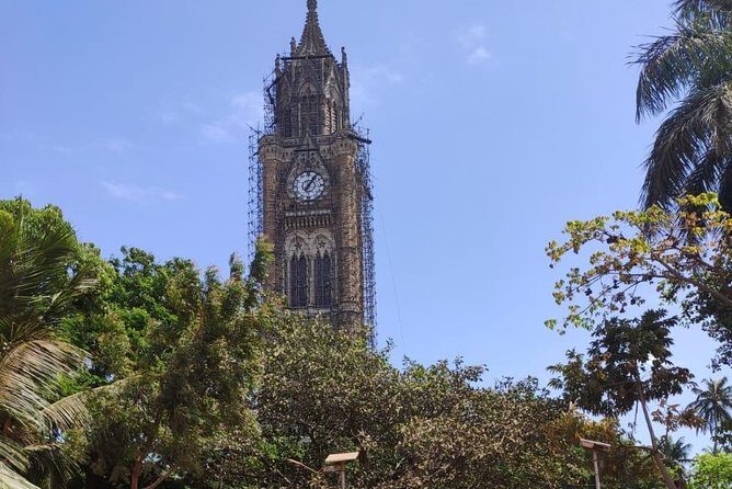 Mumbai Heritage Walking Tour of Colaba and Fort - Stop 4: St. Thomas Cathedral and the memorials behind the walls