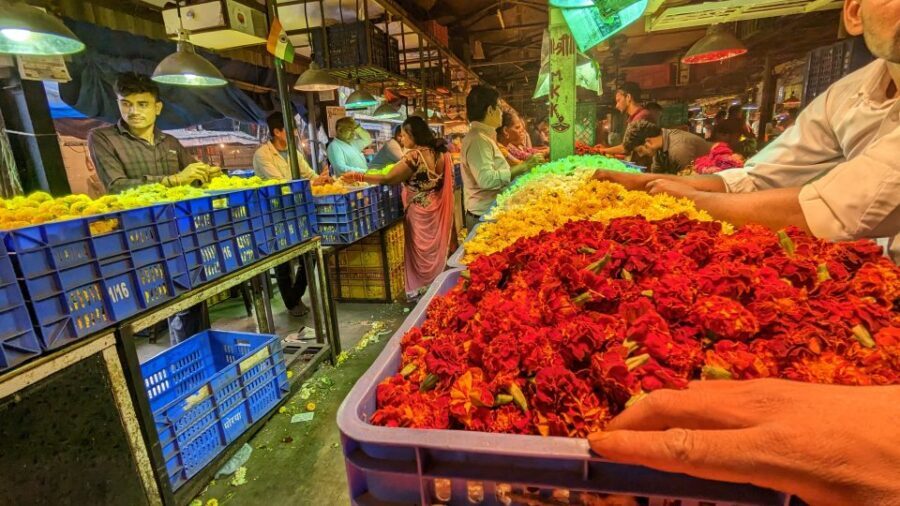 Mumbai Hidden Gems : Early Morning Tour with Expert Guide - Fish Market Morning: Hundreds of Boats and Fresh-Catch Reality