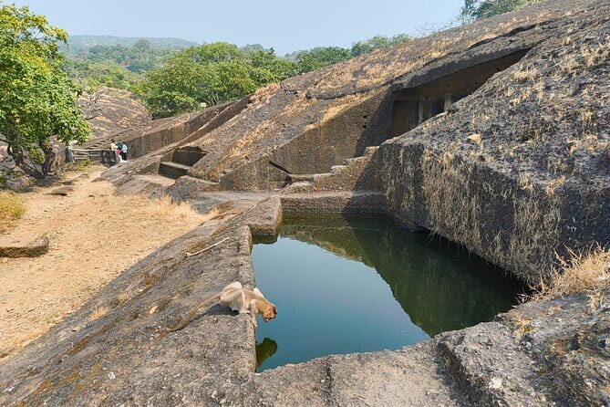 Mumbai Kanheri Caves & Golden Pagoda – A Buddhist Settlement - The day schedule: what 4 hours 30 minutes feels like in real life