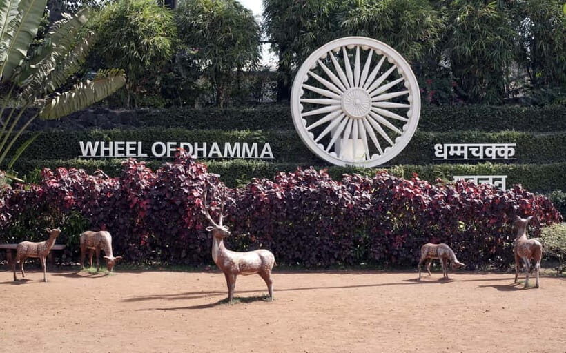 Mumbai Kanheri Caves & Vipassana Pagoda Tour - The walk uphill: comfort tips that prevent a bad experience
