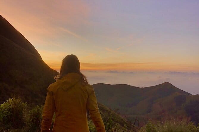Munnar Daily Tour - Key things to know before you go