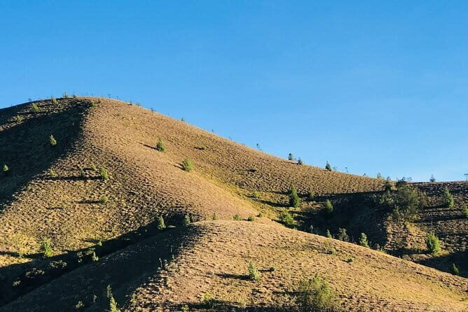 Munnar Daily Tour - Top Station by Day One: Tea, Boating, and the road to Meesapulimala
