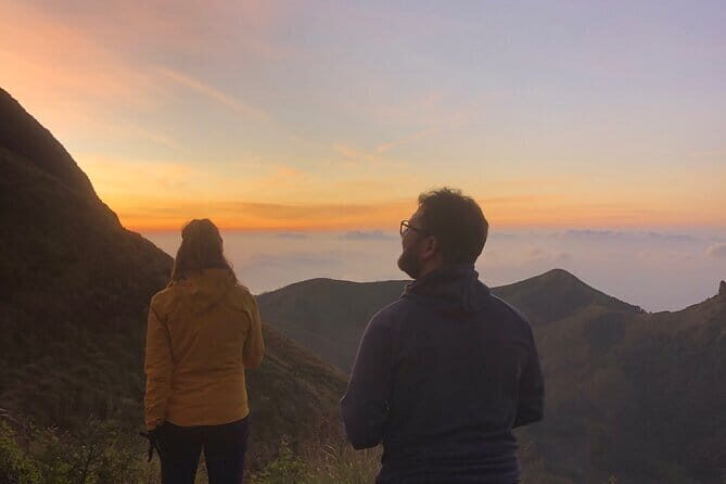 Munnar Daily Tour - The 5:30am climb: Off-road jeep safari and a guided trek to Meesapulimala