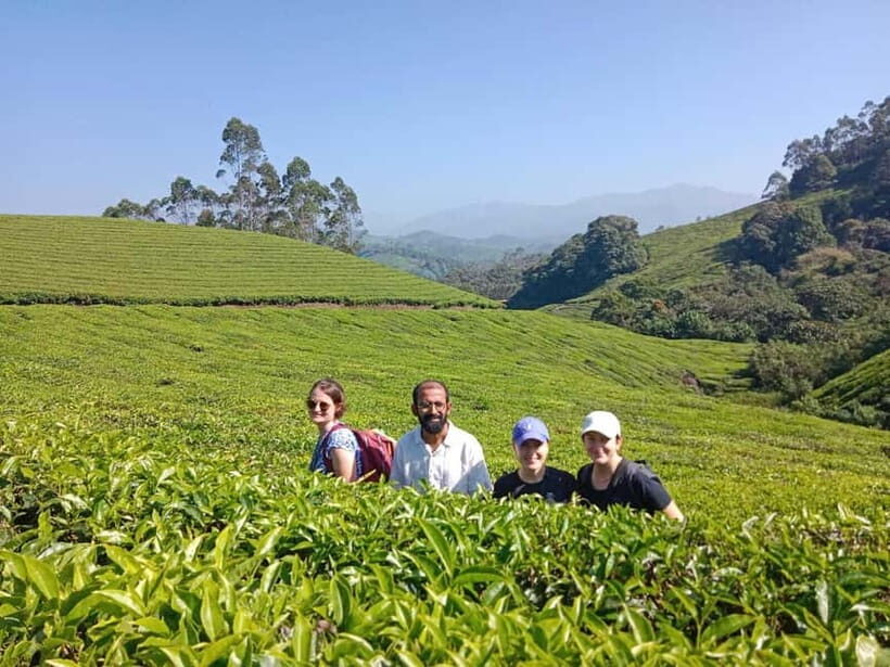 Munnar: Half day Guided Trek - Key highlights you’ll feel right away