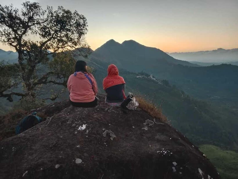 Munnar: Half day Guided Trek - Tea Country, Then Forest: What You’ll Walk Through