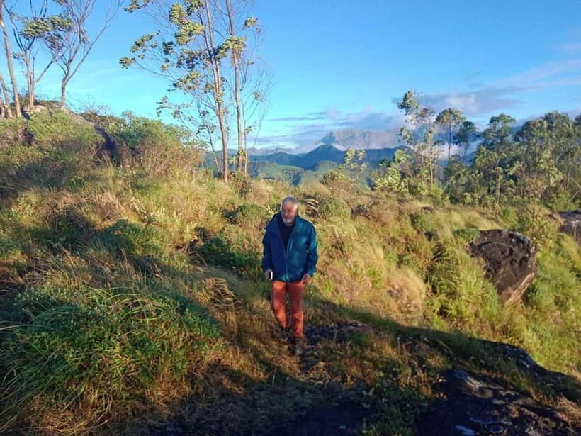 Munnar: Half day Guided Trek - The Two Trail Options: Pothamedu vs Lekshmi Hill