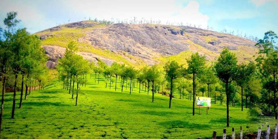 Munnar: Local Highlights Day Tour with Top station Visit - Key highlights to expect