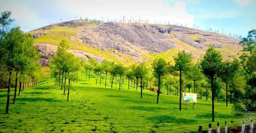 Munnar: Local Highlights Day Tour with Top station Visit - Why this Munnar highlights day tour works for first-time planning