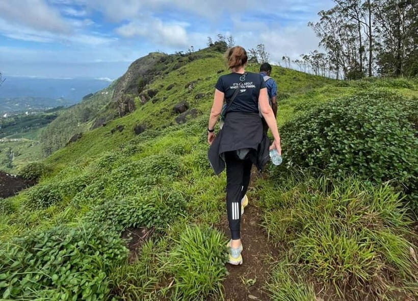 Munnar mountain hiking (Full day) - The full-day workout: 14–18 km toward 2000m