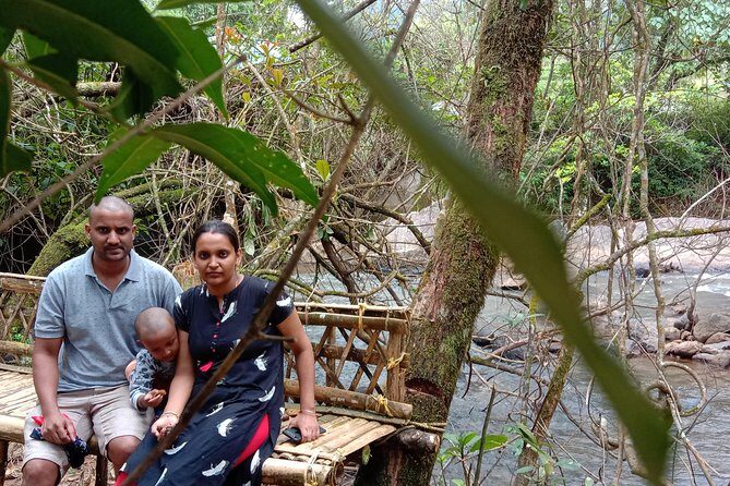 Munnar Mountain Jeep Safari - Jeep Safari in Munnar: what the day actually feels like