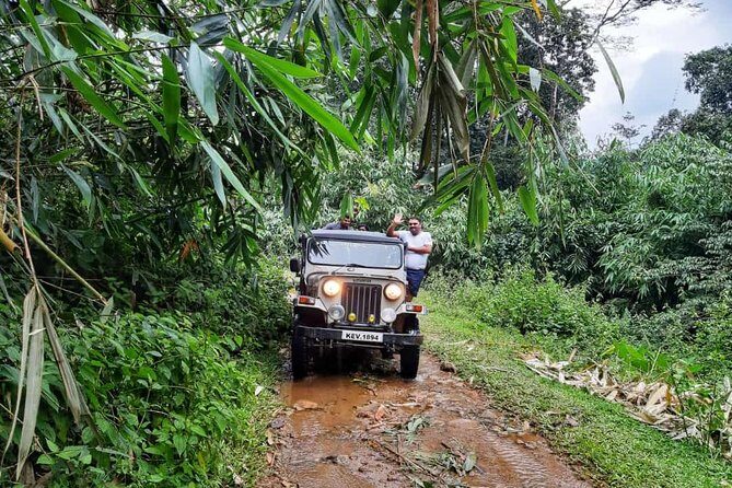 Munnar Mountain Jeep Safari - Stop 1 in the morning: spice roads, forest off-road, and the Letchmi/7 hills setup