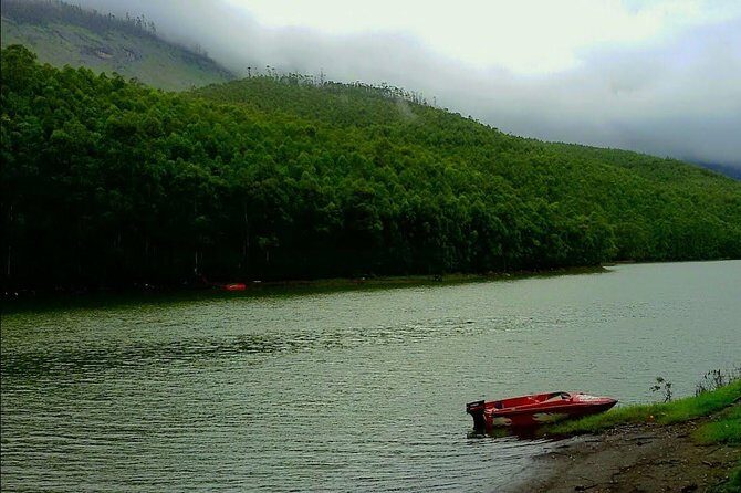 Munnar Site-seeing Tour - Hotel Pickup, Photo Point, and the Best Way to Start
