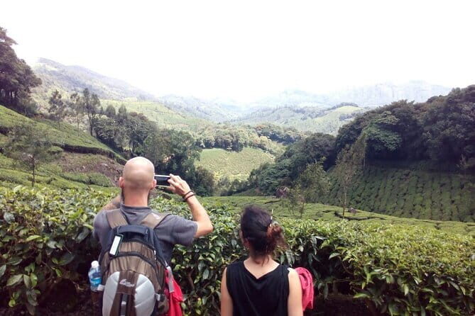 Munnar Tea Plantation Evening walking with Sunset View - Key Highlights You’ll Actually Notice