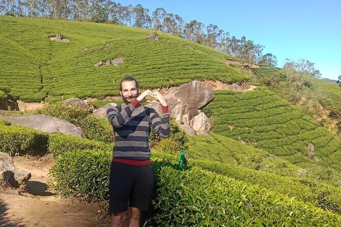 Munnar Tea Plantation Evening walking with Sunset View - Guides, Group Size, and Why It Feels Personal