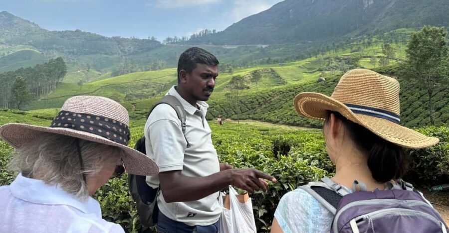 Munnar: Tea trail, Tea Factory, and Tea Tasting Tour - Should You Book This Tea Trail and Tea Tasting Tour?