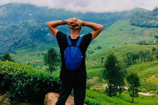 Munnar Tea Trail Tour , Tea factory visit & Tea Tasting - Price and Logistics: Can a 3-hour tour really be this affordable?