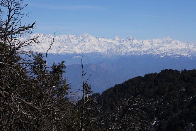 Naag Tibba Trek - Who should book this Naag Tibba trek (and who should rethink)