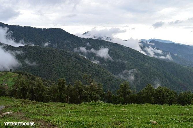 Naag Tibba Trekking and Hiking 2 Nights and 3 Days - The walking route: Pantwari to the base, then up to Jhandi Top and Devalsari
