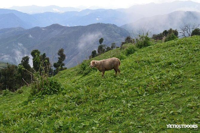 Naag Tibba Trekking and Hiking 2 Nights and 3 Days - Timing, weather, and what to plan for all-year trekking