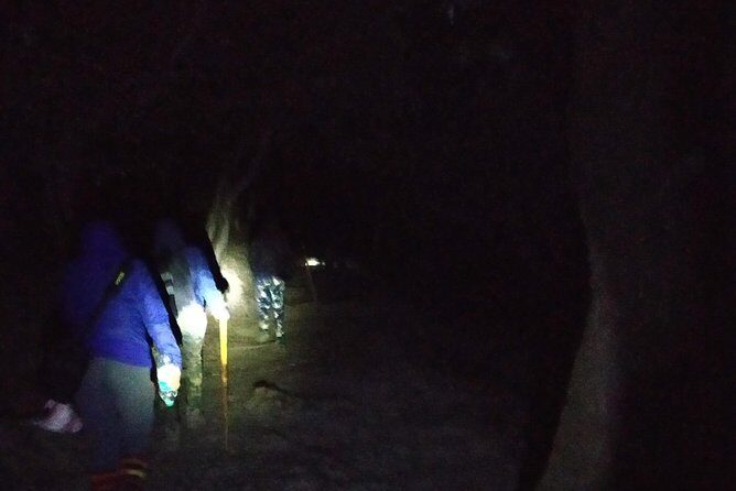 Nagtibba Trek (Pantwari to Pantwari) - Day 1 in Motion: Forest Paths, Sunset Energy, and Camp Snacks