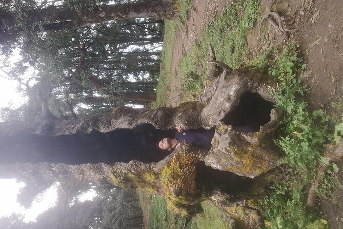 Nagtibba Trek (Pantwari to Pantwari) - Food on the Trail: Why Meals Are the Real Win Here