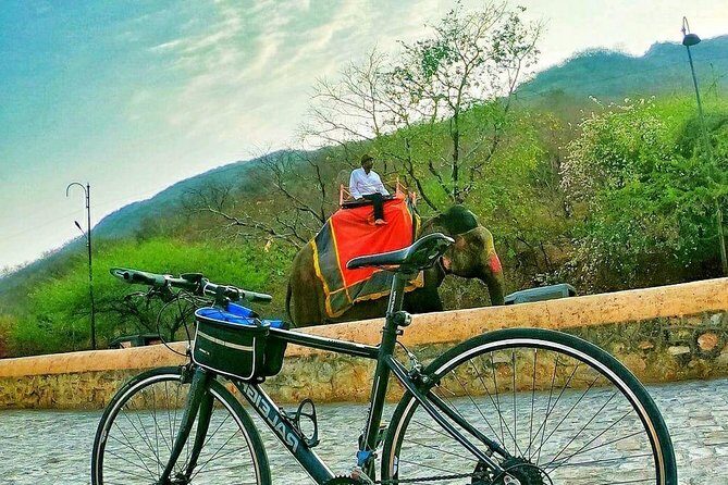 Nahargarh Cycle Tour in Jaipur - Tripolia Bazar breakfast breaks: fueling up like a local