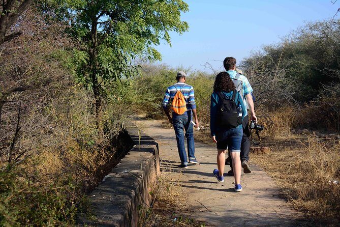 Nahargarh Water Walk - Guided 2-Hour Heritage Tour in Jaipur - Water is the real hero behind Jaipur’s desert survival