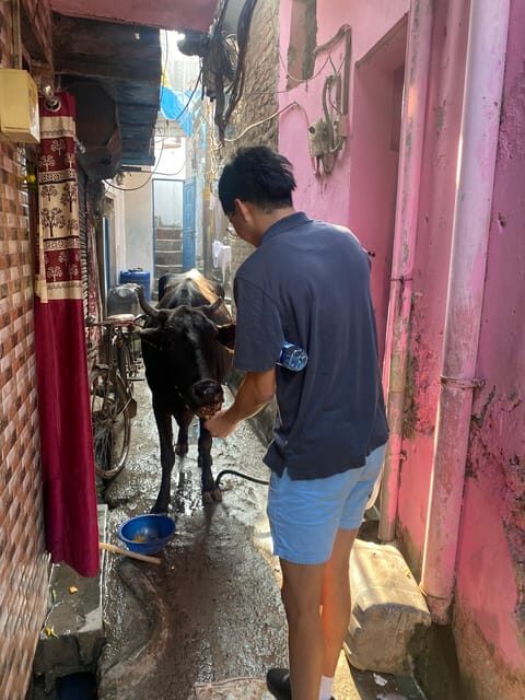 New Delhi - Ethical Sanjay Colony Slum Tour with Local guide - Your guide and the human touch: names you may hear