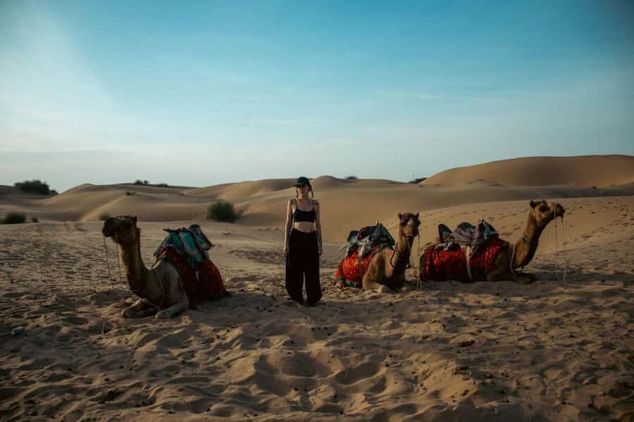 Nomadic Non-Touristic Overnight Camel & Desert Safari Tour - Price and Value: What $34 Covers (and Why It Feels Reasonable)
