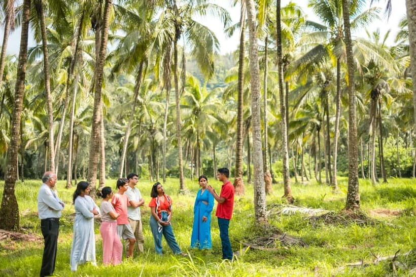 North Goa: Mulgao Village and Coconut Farming Experience - Key things I’d watch for before you book