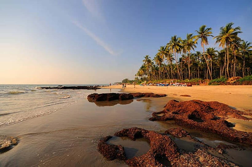 North Goa: Private Day Tour - Price and logistics: what you’re really paying for