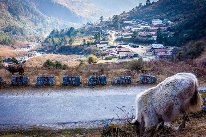 North Sikkim 6 Days Tour - Price and what $166.13 buys you (and what it doesn’t)