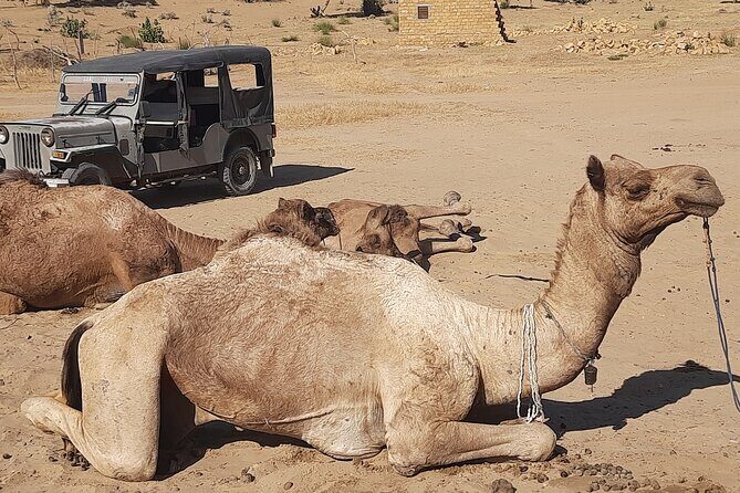 Off the beaten track overnight Camel Safari Tour Jaisalmer - The Overnight Part: Cooking Lesson, Campfire Vibes, and Warm Blankets