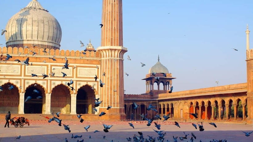 Old and New Delhi Private Full or Half Day Tour Upto 8 Hours - The 8-hour Old + New Delhi combo: when it’s worth trying