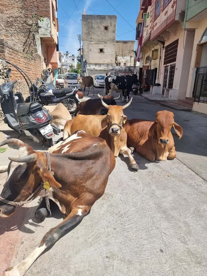 Old city heritage walk and local life experience - Key highlights worth your feet