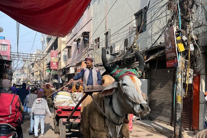 Old Delhi Heritage Food Walk - Khari Baoli spice market: where the flavors get real