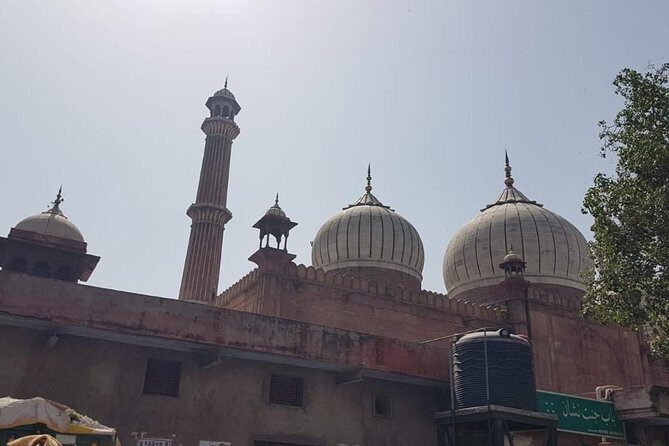 Old Delhi Walking Tour - Meeting Point at Delhi Gate: Getting Oriented Before You Step In