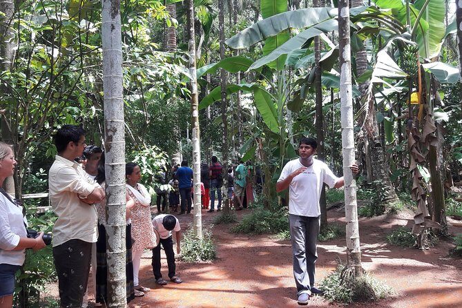Old Goa Churches, Temples & Spice Plantation With "Goan" Lunch - Is This Tour Right for You?