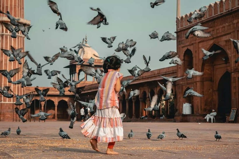 Old & New Delhi Culture & Architecture City Private Tour - Lotus Temple, optional Raj Ghat, and the choice of Qutb Minar