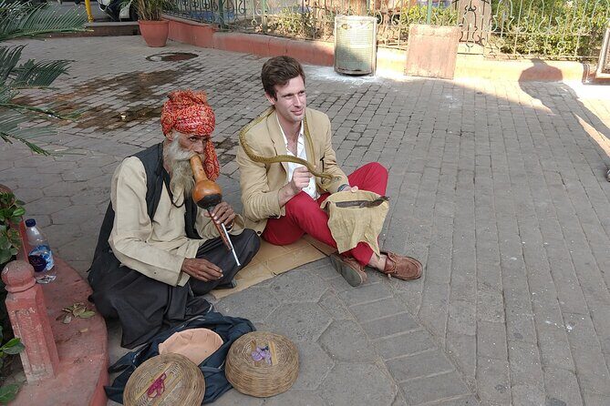 Old & New Delhi Tour - Price and value: what $28.37 buys you in a 9-hour Delhi sweep