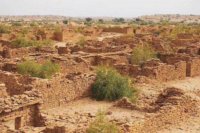 One Night One Day Desert Safari Tour - Key highlights worth knowing before you go